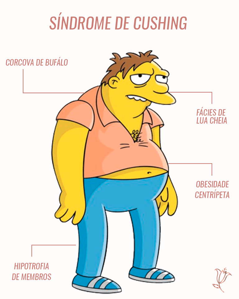 o que é sindrome de cushing?